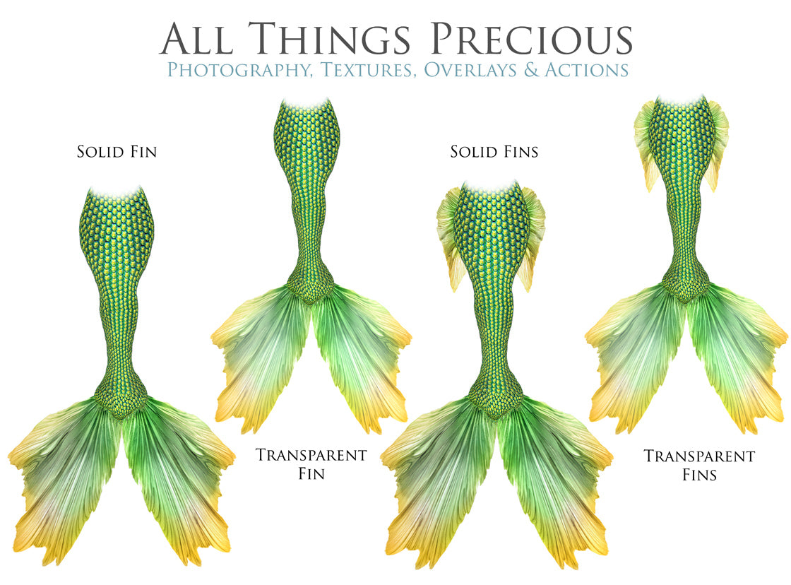 MERMAID TAILS Set 3 - Digital Overlays