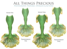 Load image into Gallery viewer, MERMAID TAILS Set 4 - Digital Overlays
