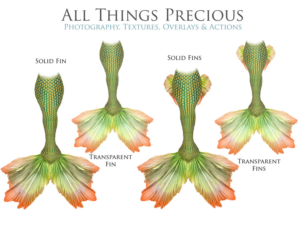 ATP Textures