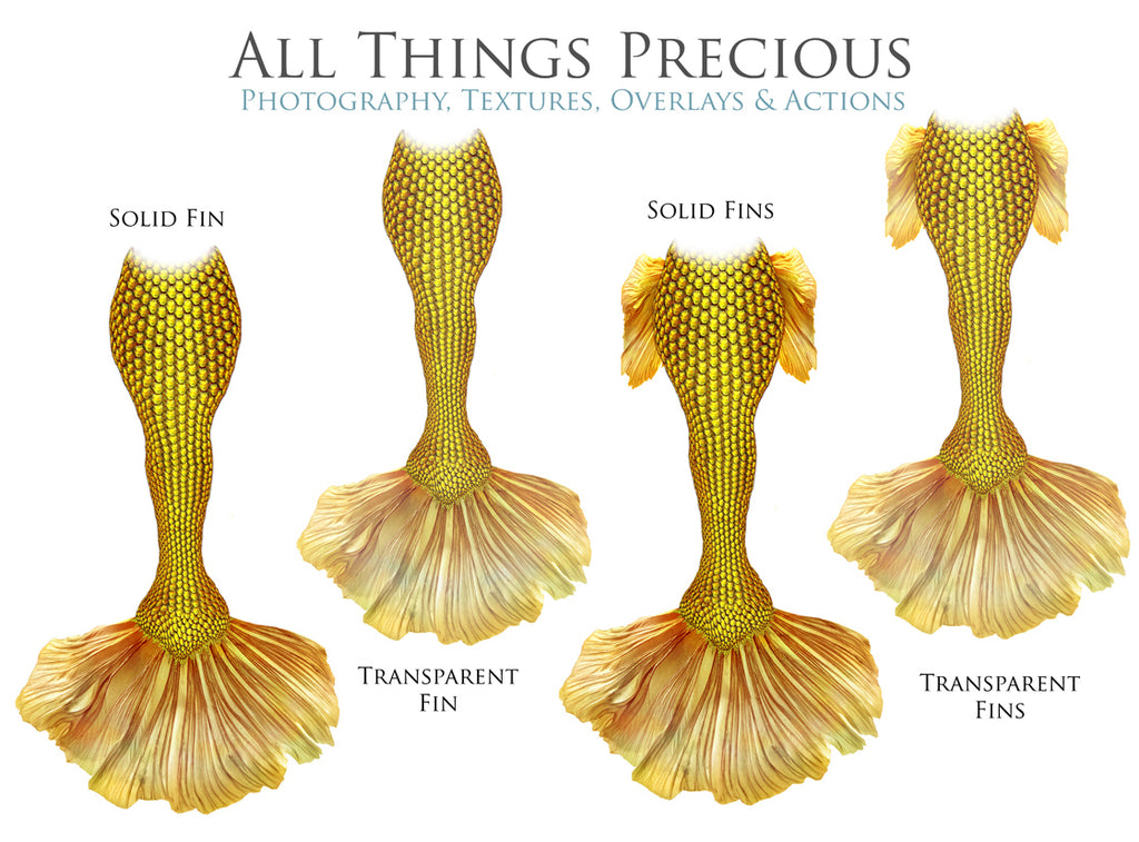 ATP Textures