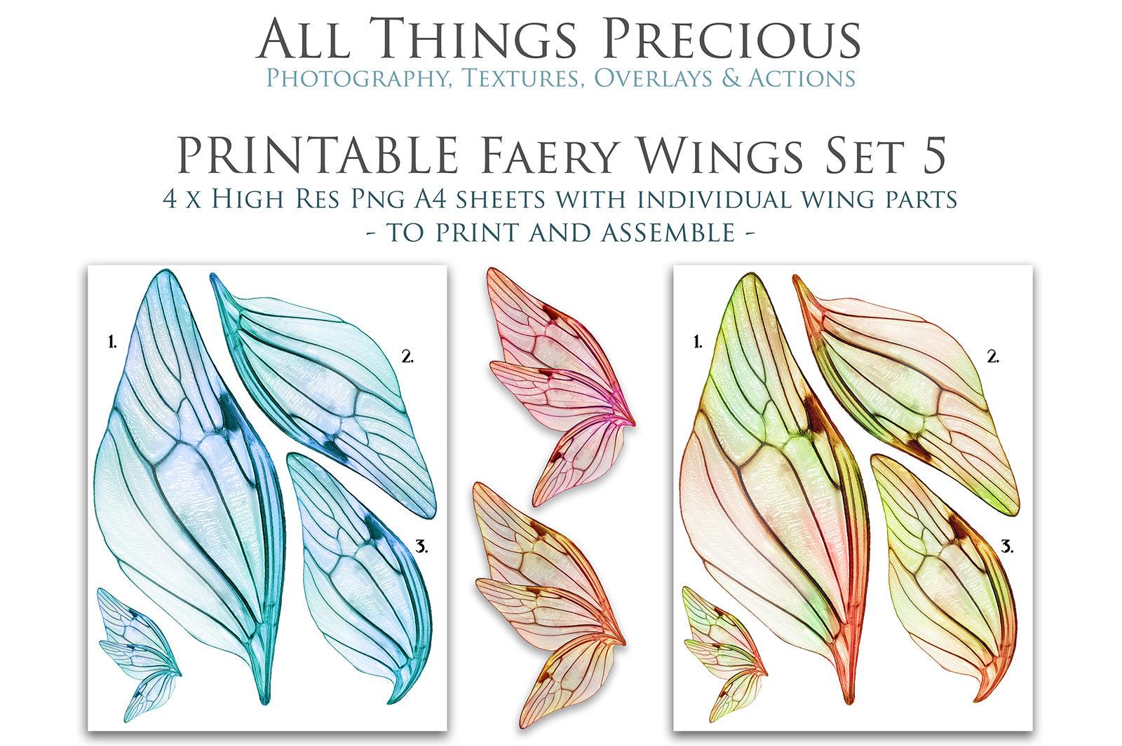 PRINTABLE FAIRY WINGS - Set 5