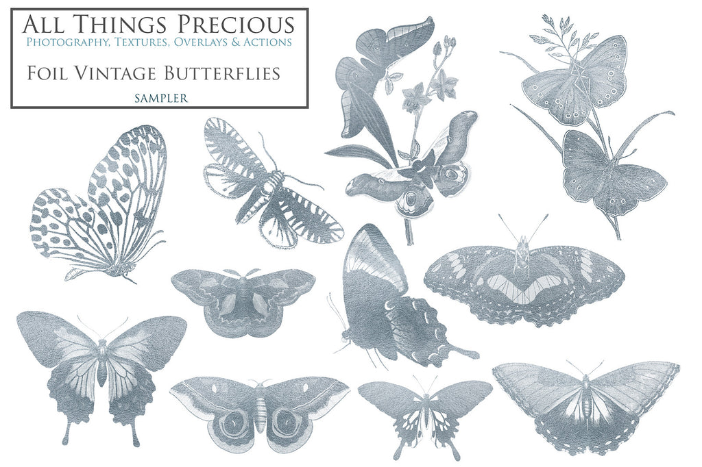 ATP Textures