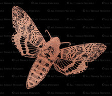 Load image into Gallery viewer, ROSE GOLD FOIL VINTAGE BUTTERFLIES - Clipart
