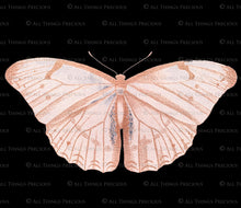 Load image into Gallery viewer, ROSE GOLD FOIL VINTAGE BUTTERFLIES - Clipart
