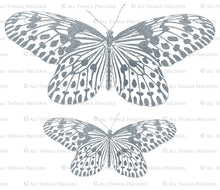 Load image into Gallery viewer, SILVER FOIL VINTAGE BUTTERFLIES - Clipart
