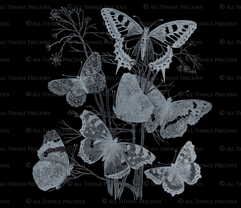 ATP Textures