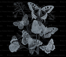 Load image into Gallery viewer, SILVER FOIL VINTAGE BUTTERFLIES - Clipart
