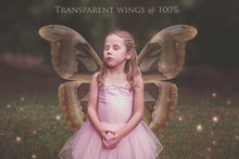 Load image into Gallery viewer, Fairy Wing &amp; Butterfly Overlays For Photographers, Photoshop, Digital art and Creatives. Butterfly fairy wings, Png overlays for photoshop. Photography editing. High resolution, 300dpi. Overlay for photography. Digital stock and resources. Graphic design. Wings for Photos. Colourful Faerie Wings. Butterflies. Overlays for Edits.

