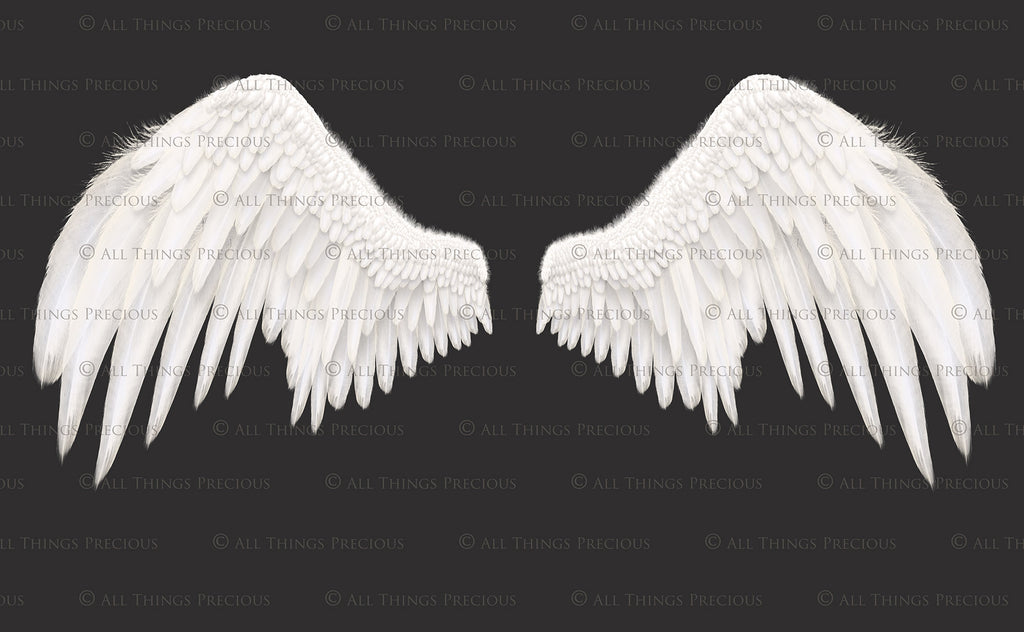 Png clipart, Angel Wings, Digital Overlays, Fine Art, Photography, Photoshop edits, Digital Art, Angel wing overlays, High resolution, Angel Clipart, Wing Clipart by ATP textures.