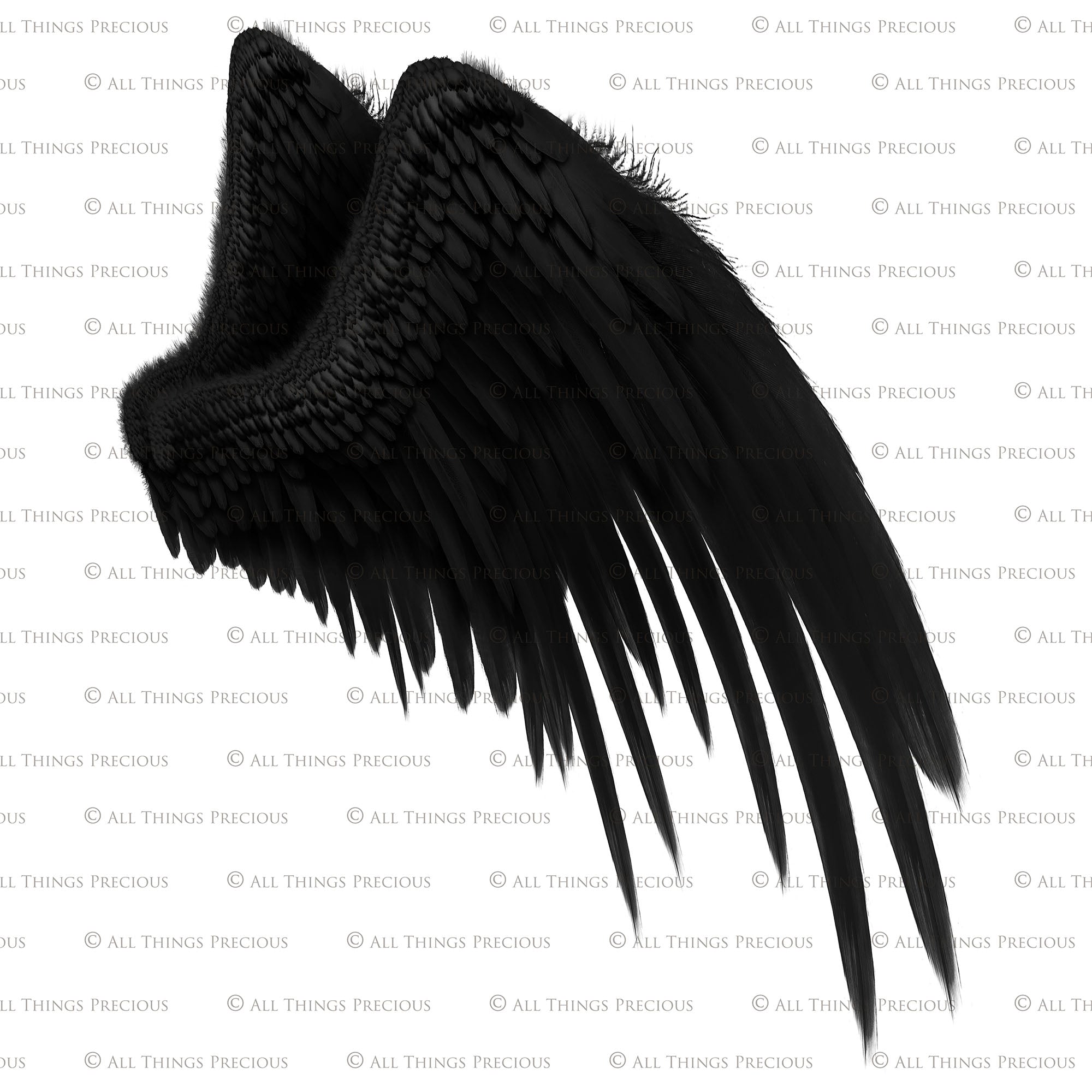 Black Wings PNG Image  Angel wings png, Black angel wings, Wings png