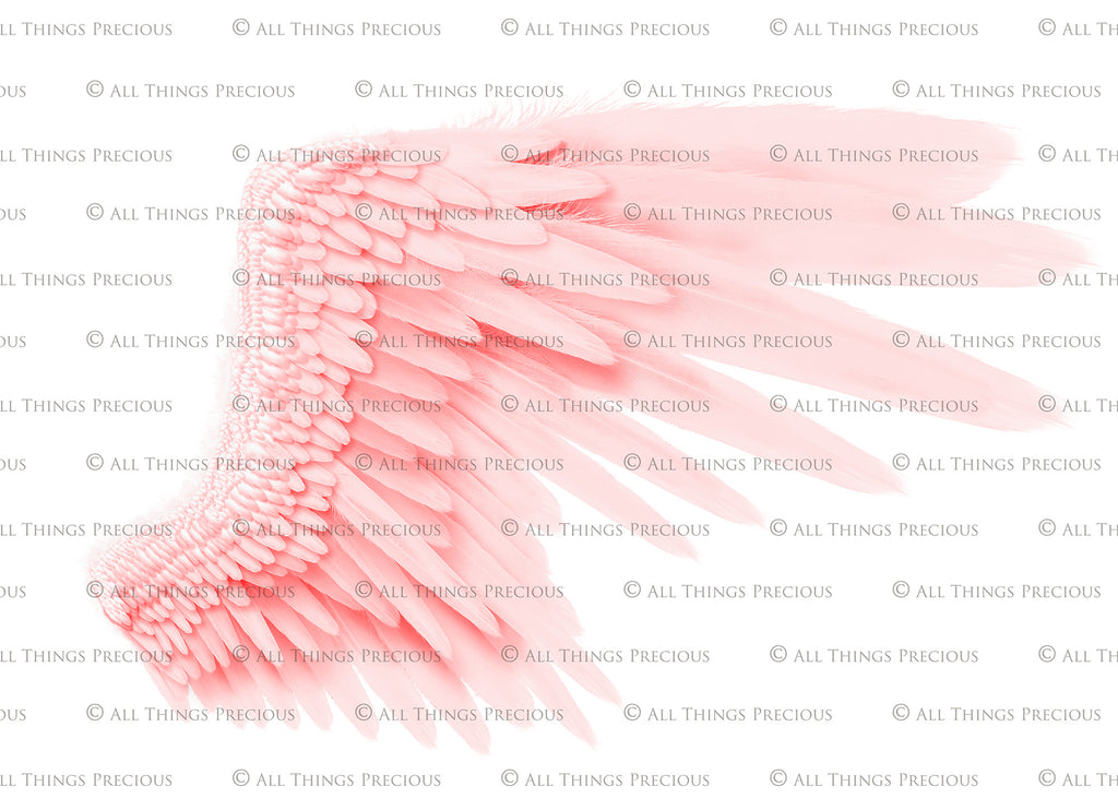 Png clipart, Angel Wings, Digital Overlays, Fine Art, Photography, Photoshop edits, Digital Art, Angel wing overlays, High resolution, Angel Clipart, Wing Clipart by ATP textures.