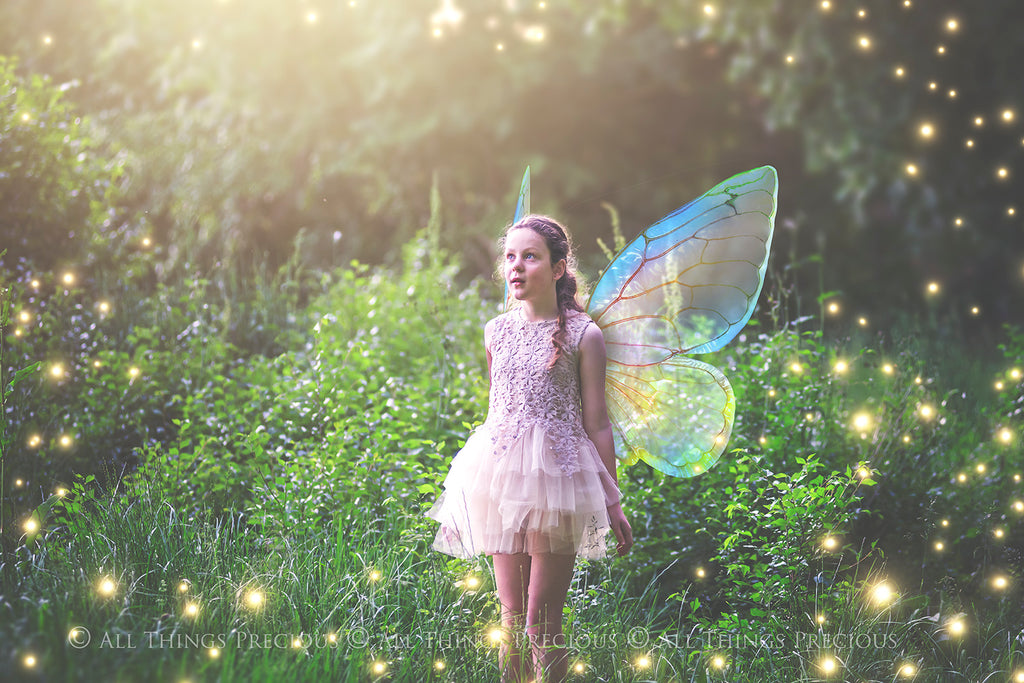 Digital Overlays for Photographers, Graphic design, scrapbooking and creatives.. Fairy Wings. High resolution, fine art digital assets for creating fantasy art.  Png overlay with transparent background. Magical Edit. Png Photo editing art assets.