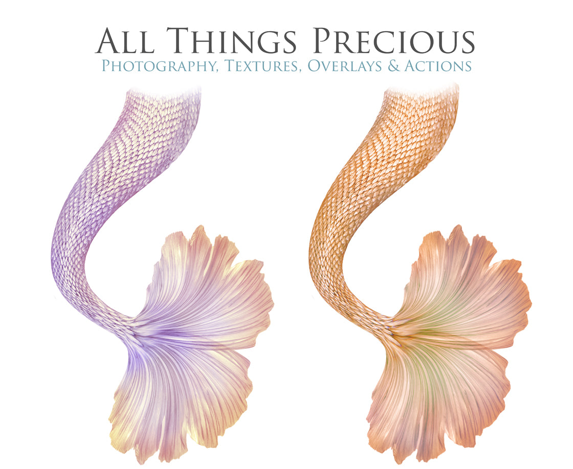 Png transparent Mermaid Tail fin overlays in colourful tints. By ATP Textures Ocean undersea digital backgrounds.