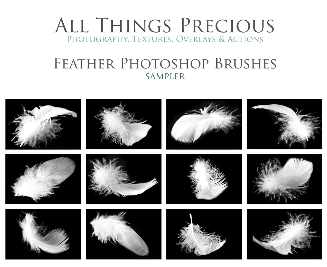 Floaty feather PS brushes for photography and digital design. Digital Stamps for scrapbooking, photoshop and graphic design. Realistic photography. Assets and Add ons. High resolution. ATP Textures