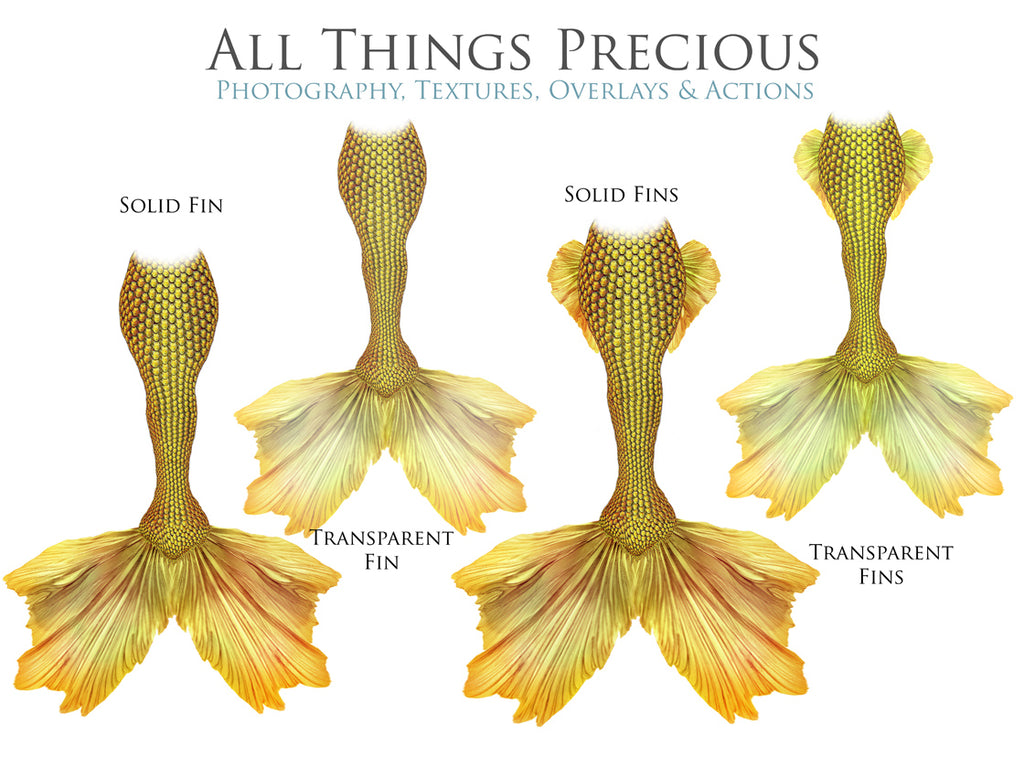 ATP Textures