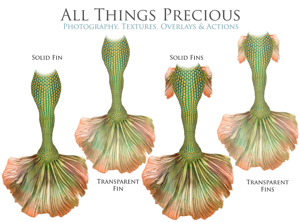 ATP Textures