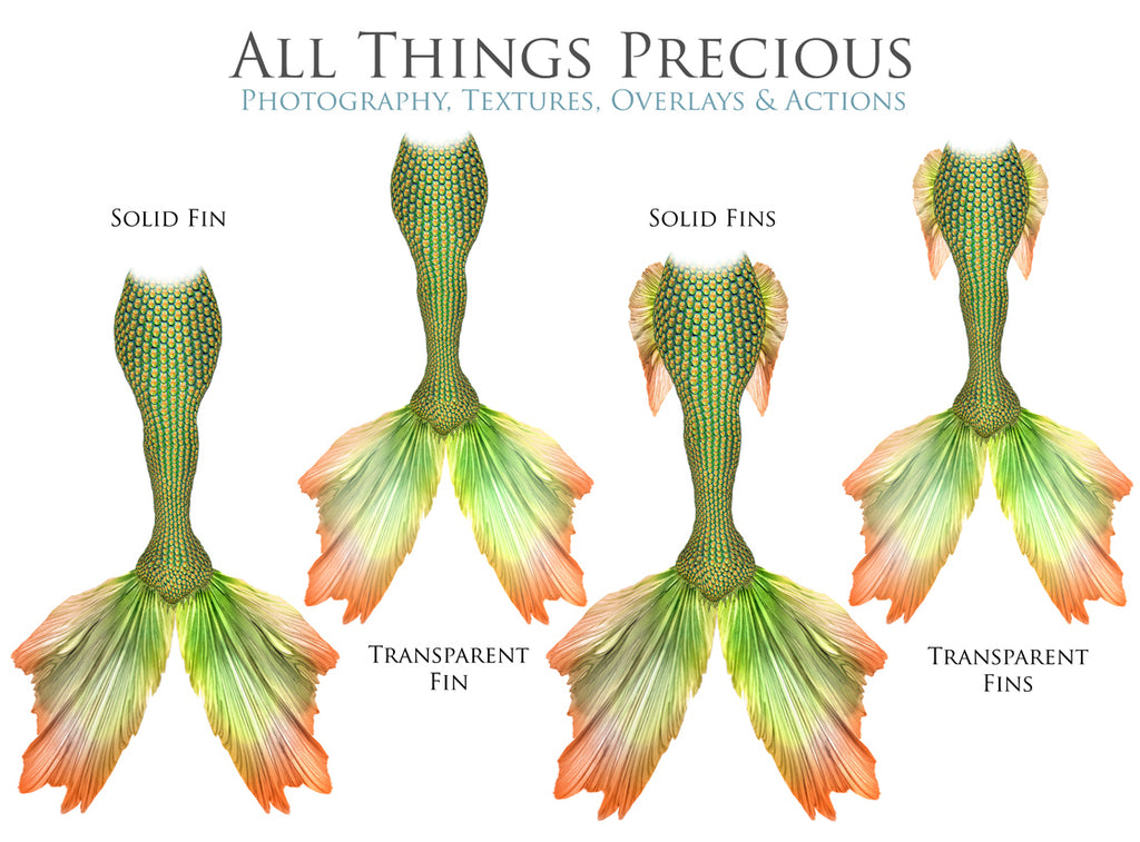 ATP Textures