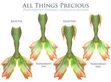 Load image into Gallery viewer, MERMAID TAILS Set 3 - Digital Overlays
