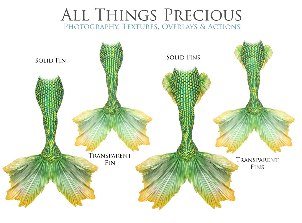 ATP Textures
