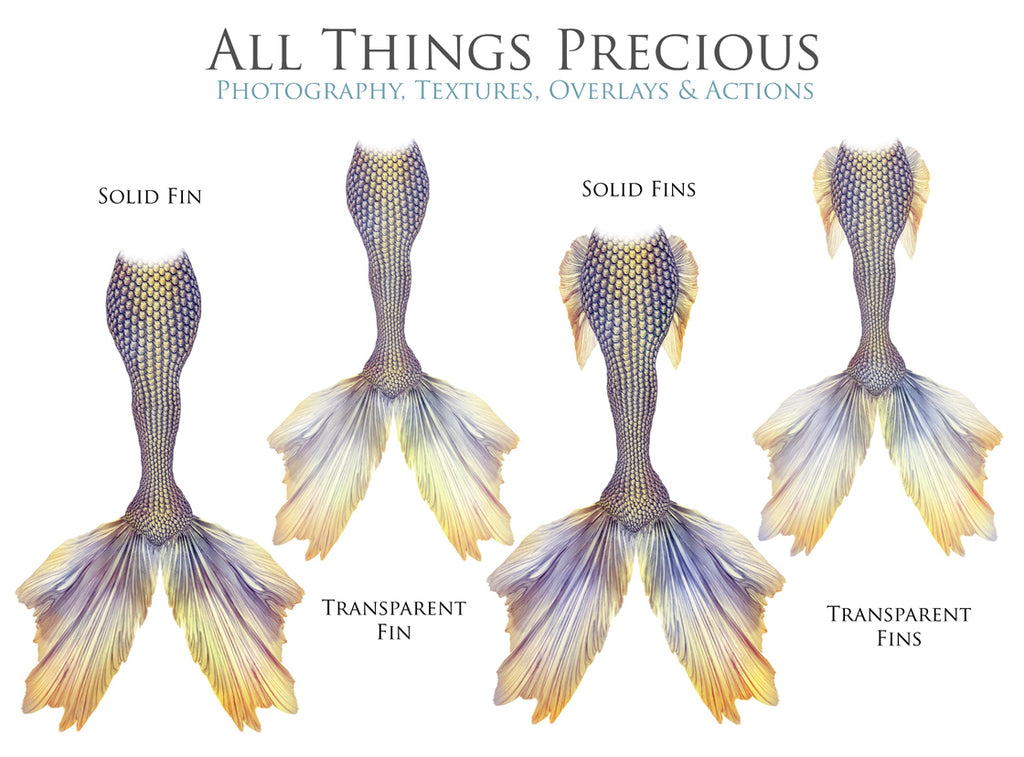 ATP Textures