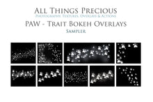Load image into Gallery viewer, Overlays for photographers, Photoshop editing, digital art, pet photography, pet overlays, dog, paw prints clipart, Bokeh overlays, high resolution by ATP Textures.
