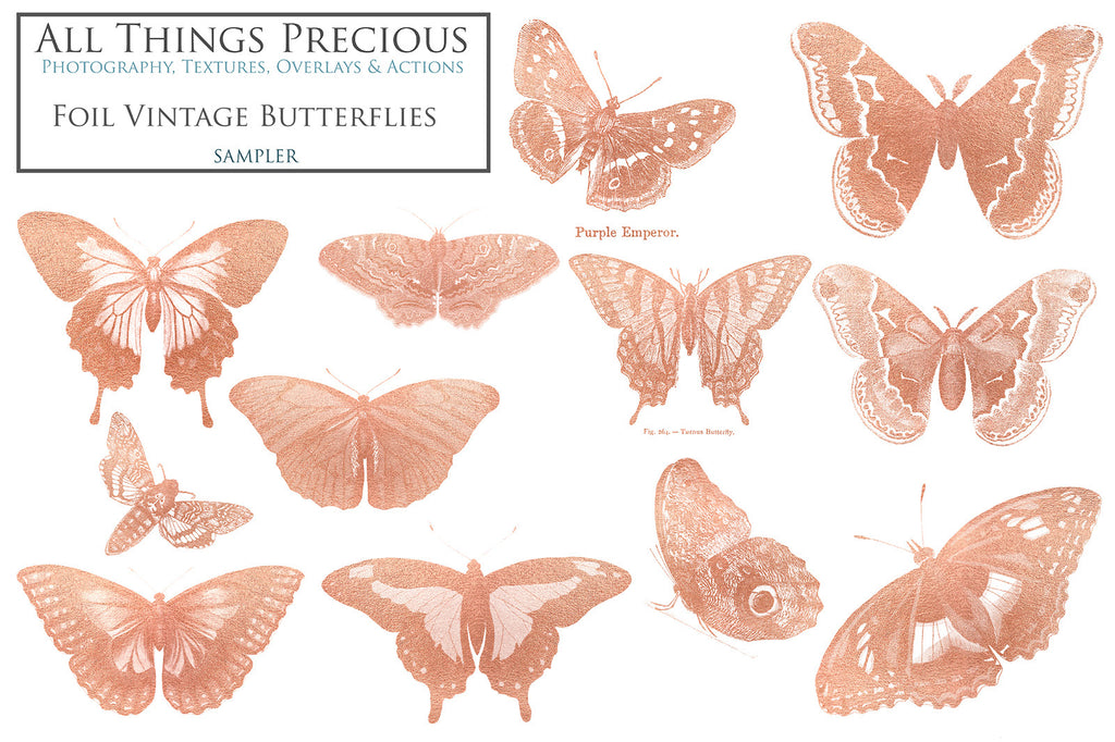 ATP Textures