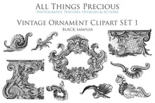 Load image into Gallery viewer, VINTAGE ORNAMENTALS - Clipart
