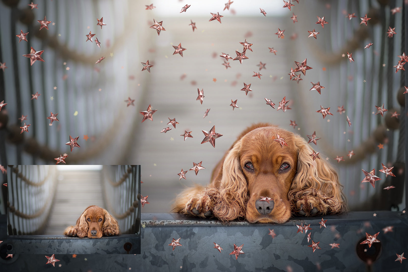 Png Rose Gold Stars, Photo Overlays, Star Confetti Overlays, Star Clipart, Clipart png, Photoshop Overlays, Digital scrapbooking, High resolution by ATP textures.