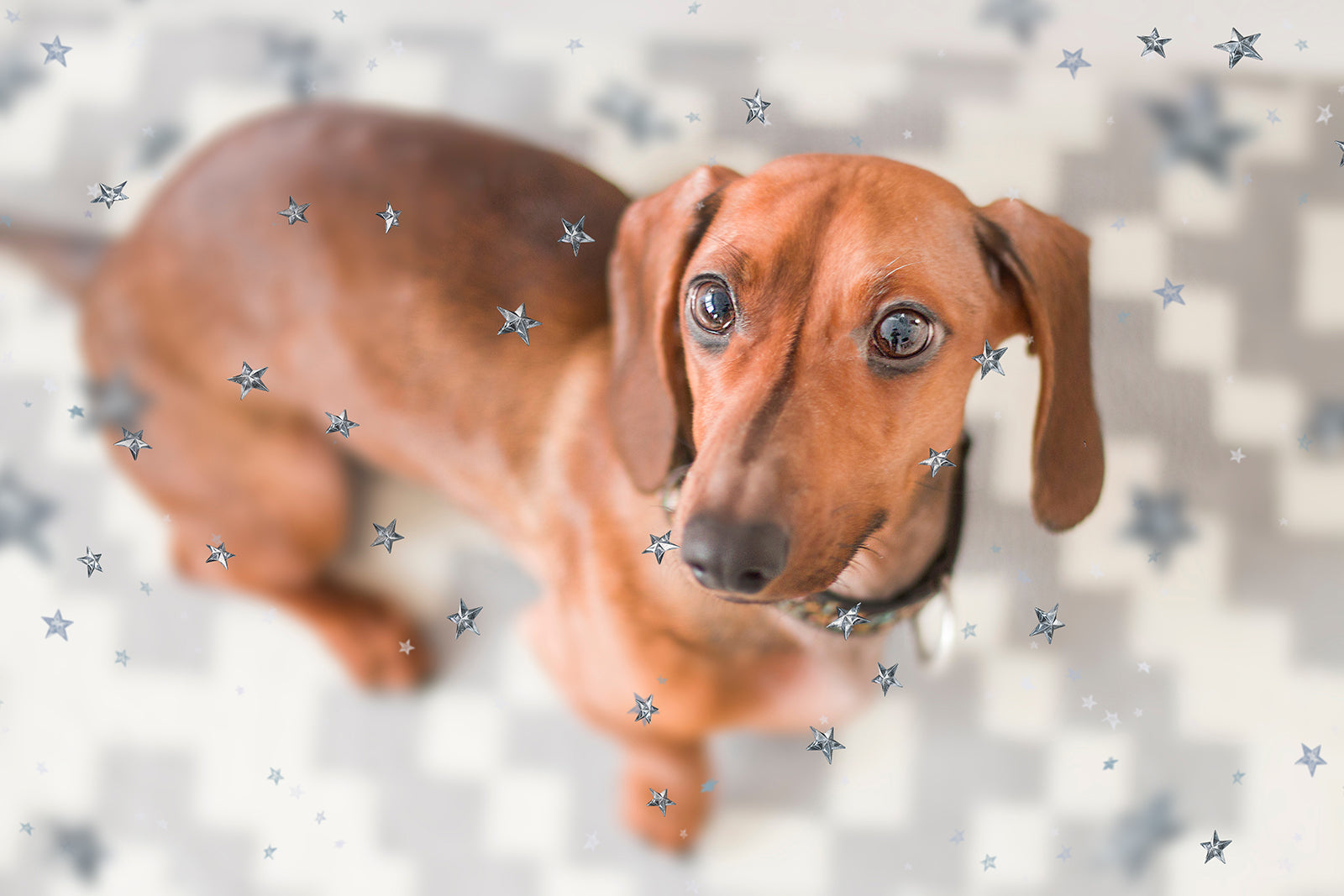 Overlays, Photoshop Overlays, Digital scrapbooking, High resolution by ATP textures.