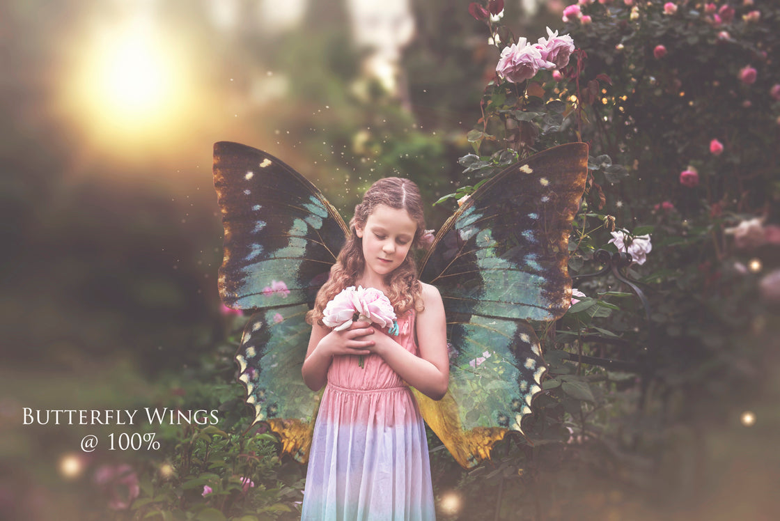 Fairy Wing & Butterfly Overlays For Photographers, Photoshop, Digital art and Creatives. Butterfly fairy wings, Png overlays for photoshop. Photography editing. High resolution, 300dpi. Overlay for photography. Digital stock and resources. Graphic design. Wings for Photos. Colourful Faerie Wings. Butterflies. Overlays for Edits.