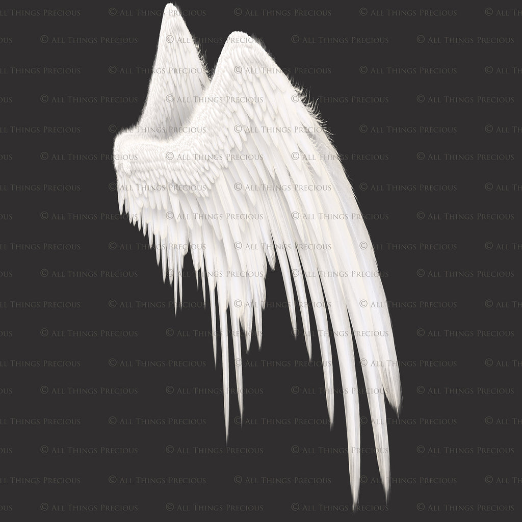 Png clipart, Angel Wings, Digital Overlays, Fine Art, Photography, Photoshop edits, Digital Art, Angel wing overlays, High resolution, Angel Clipart, Wing Clipart by ATP textures.