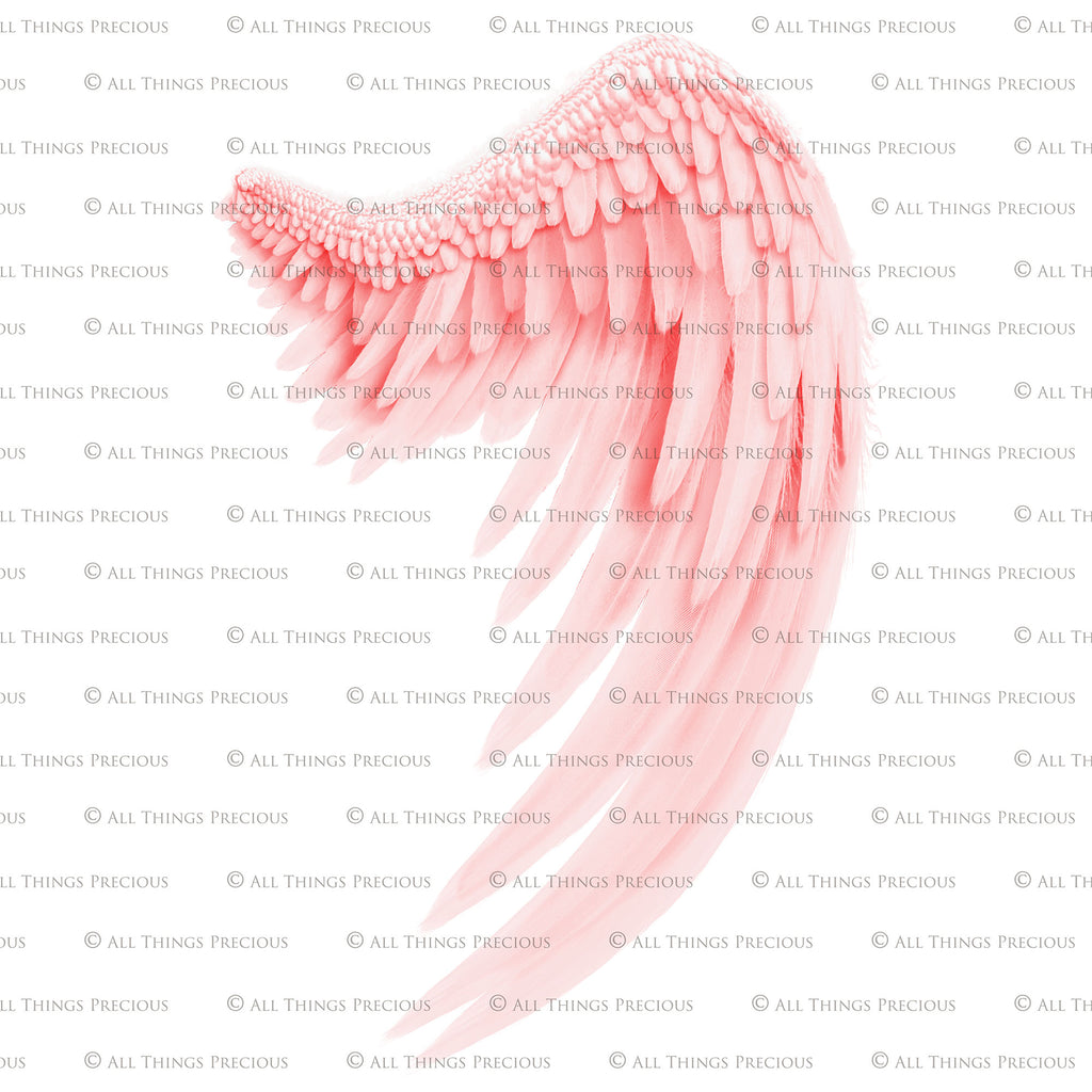 Png clipart, Angel Wings, Digital Overlays, Fine Art, Photography, Photoshop edits, Digital Art, Angel wing overlays, High resolution, Angel Clipart, Wing Clipart by ATP textures.