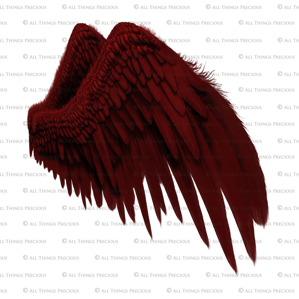 Png Angel Wings, Png Wings, Wing Overlays, Angel Clipart, Clipart wings, Png Overlays, Photo Editing, Photoshop, High Resolution, ATP textures.