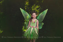 Load image into Gallery viewer, PNG Animated FAERY WINGS - Set 3
