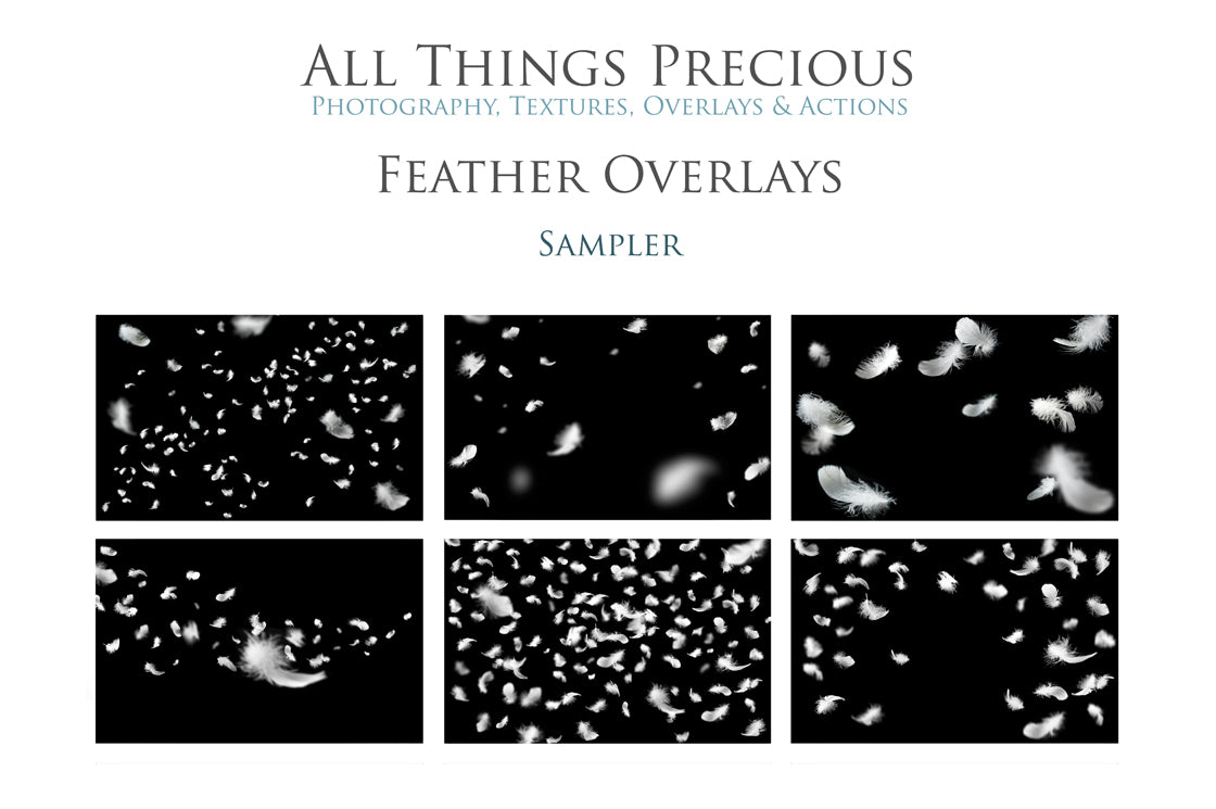 High Resolution Overlays for Photographers, Digital Art and Scrapbooking.Gorgeous clipart Feathers! Photoshop Photography. Fine art realistic. In high resolution, perfect for your next edit or project! Png graphic photography assets. Sublimation art. ATP Textures