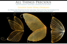 Load image into Gallery viewer, Digital Faery Wing Overlays! Fairy wings, Png overlays for photoshop. Photography editing. High resolution, 300dpi fairy wings. Overlays for photography. Digital stock and resources. Graphic design. Fairy Photos. Colourful Fairy wings. Faerie Wings.
