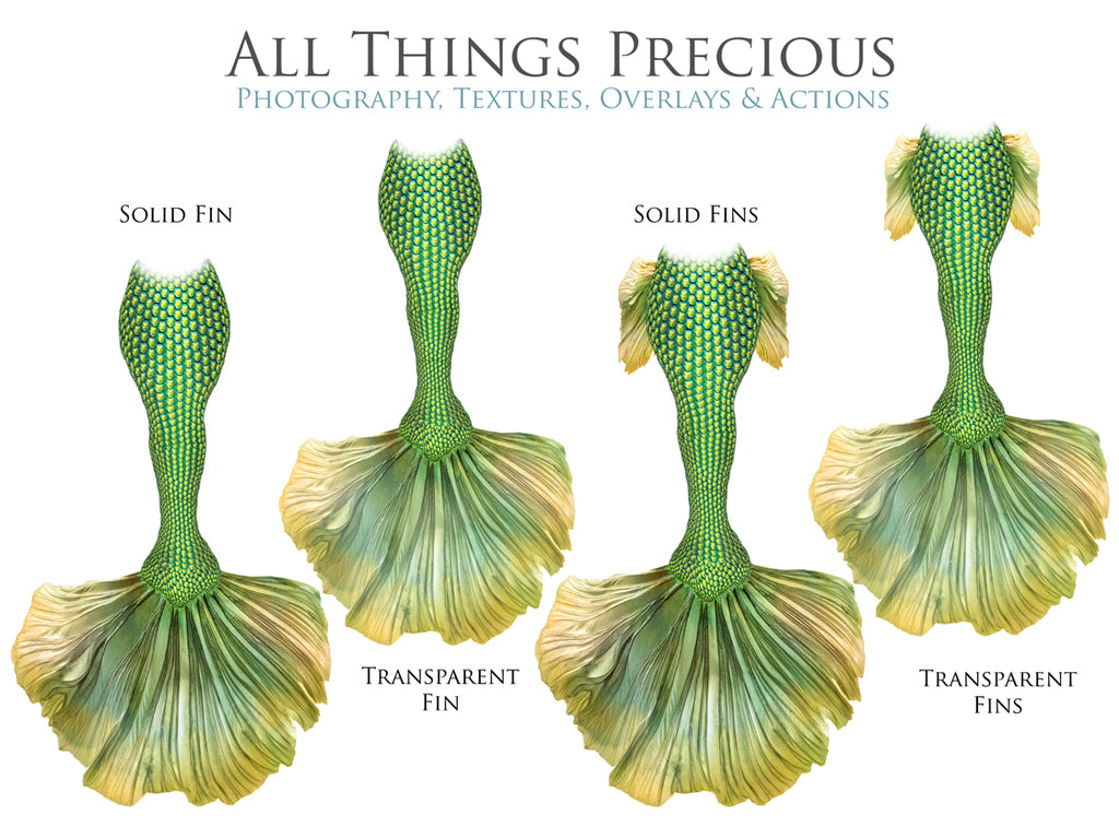 ATP Textures