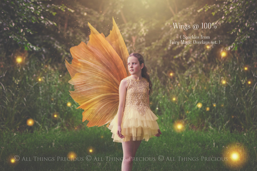 Png transparent Fairy Wing Overlays For Photographers, Photoshop, Digital art and Creatives. Transparent, high resolution, faery wings for photography! These are gorgeous PNG overlays for fantasy digital art and Child portraiture. These are white fairy wings. Graphic digital assets for design. Atp Textures