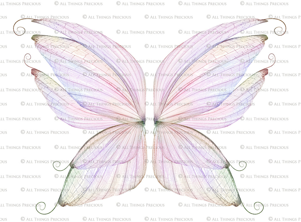 Digital Faery Wing Overlays. Png overlays for photoshop. Photography editing. High resolution, 300dpi fairy wings. Overlays for photography. Digital stock and resources. Graphic design. Fairy Photos. Colourful Fairy wings. Faerie Wings. ATP Textures. Overlays. Actions, Textures, Photo Resources, Photoshop. 
