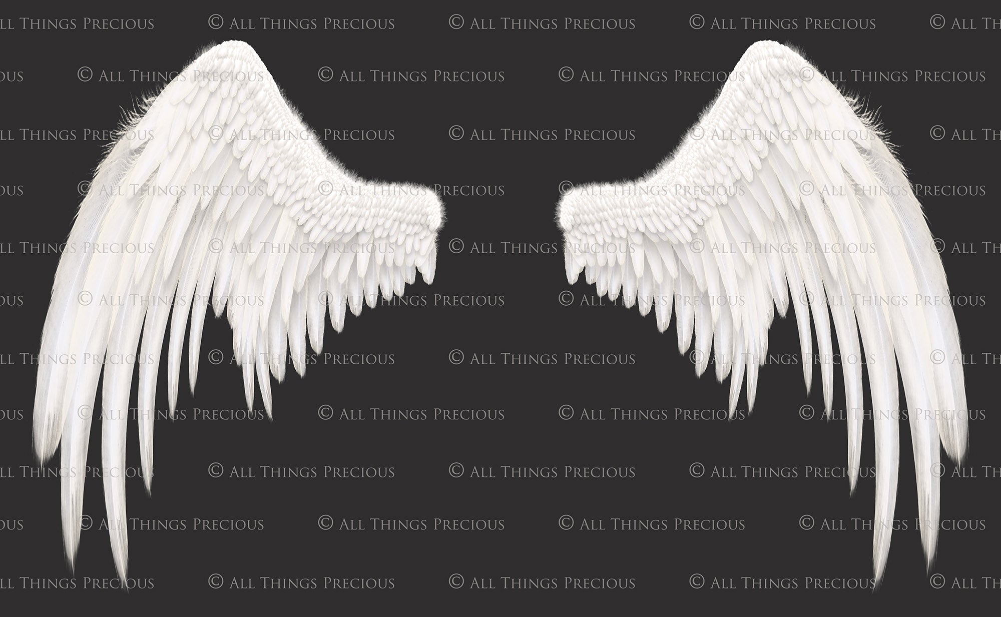 Png clipart, Angel Wings, Digital Overlays, Fine Art, Photography, Photoshop edits, Digital Art, Angel wing overlays, High resolution, Angel Clipart, Wing Clipart by ATP textures.