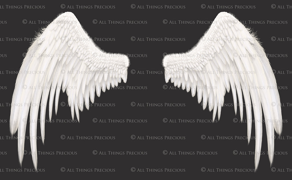 Png clipart, Angel Wings, Digital Overlays, Fine Art, Photography, Photoshop edits, Digital Art, Angel wing overlays, High resolution, Angel Clipart, Wing Clipart by ATP textures.