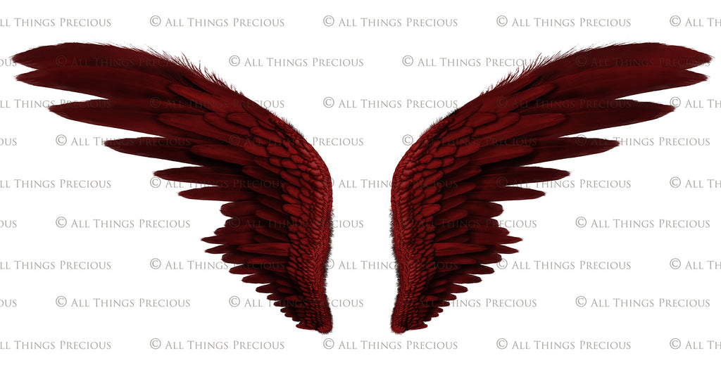 Png Angel Wings, Png Wings, Wing Overlays, Angel Clipart, Clipart wings, Png Overlays, Photo Editing, Photoshop, High Resolution, ATP textures.