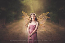 Load image into Gallery viewer, 20 Png FAIRY WING Overlays Set 5
