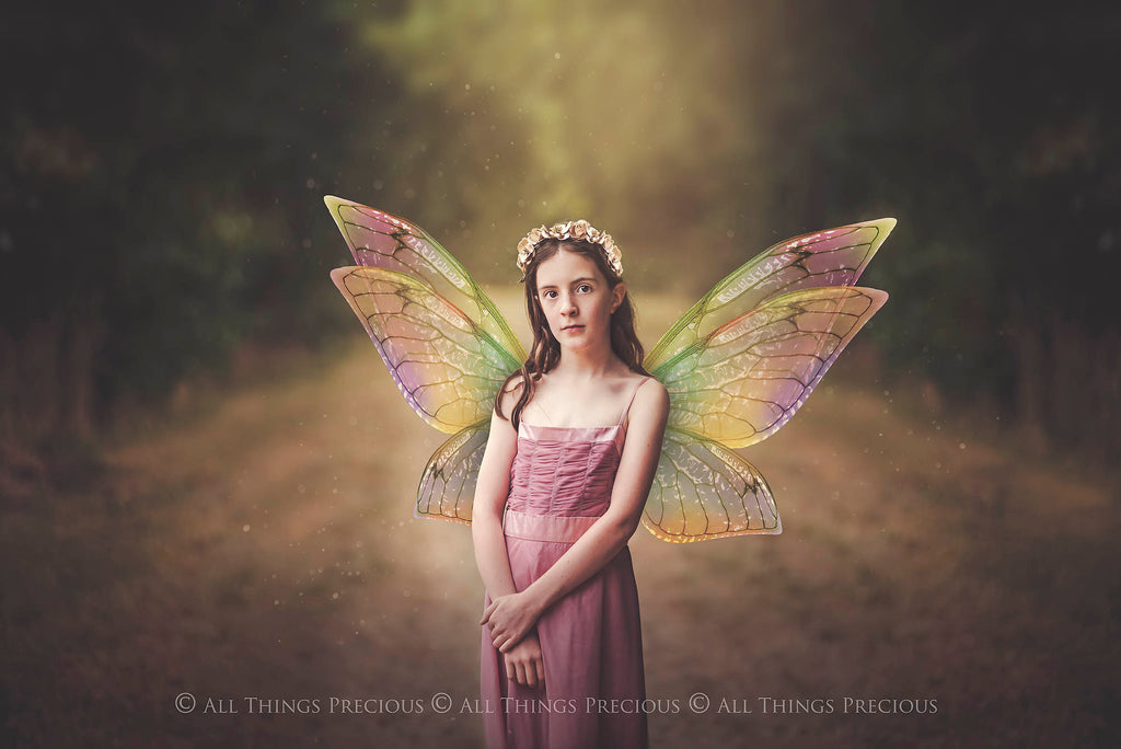 Digital Fairy Wings Overlays clipart. Png transparent see through files for photoshop. Butterfly Angel, Color, Print Photography editing. High resolution, 300dpi. Printable, Photography Graphic design assets, add on stock resources. Magical Scrapbooking design. Faery Photographer edit. Colorful Big Bundle. ATP Textures