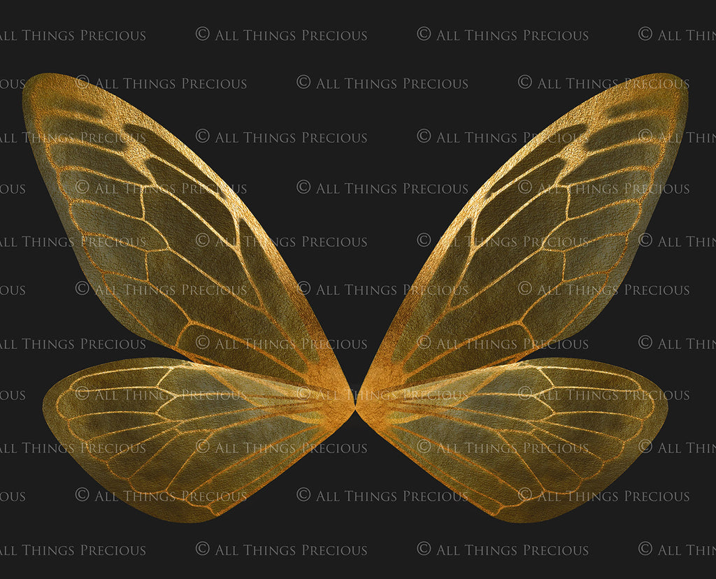 Digital Faery Wing Overlays! Fairy wings, Png overlays for photoshop. Photography editing. High resolution, 300dpi fairy wings. Overlays for photography. Digital stock and resources. Graphic design. Fairy Photos. Colourful Fairy wings. Faerie Wings.