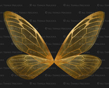Load image into Gallery viewer, Digital Faery Wing Overlays! Fairy wings, Png overlays for photoshop. Photography editing. High resolution, 300dpi fairy wings. Overlays for photography. Digital stock and resources. Graphic design. Fairy Photos. Colourful Fairy wings. Faerie Wings.
