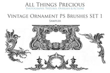 Load image into Gallery viewer, VINTAGE ORNAMENTS Set 1 - Photoshop Brushes
