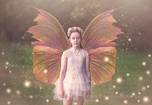 Load image into Gallery viewer, 24 Png Digital PRETTY FAIRY WING Overlays Set 1
