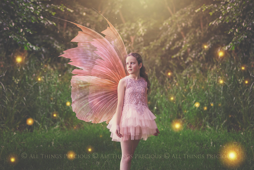 Png transparent Fairy Wing Overlays For Photographers, Photoshop, Digital art and Creatives. Transparent, high resolution, faery wings for photography! These are gorgeous PNG overlays for fantasy digital art and Child portraiture. These are white fairy wings. Graphic digital assets for design. Atp Textures