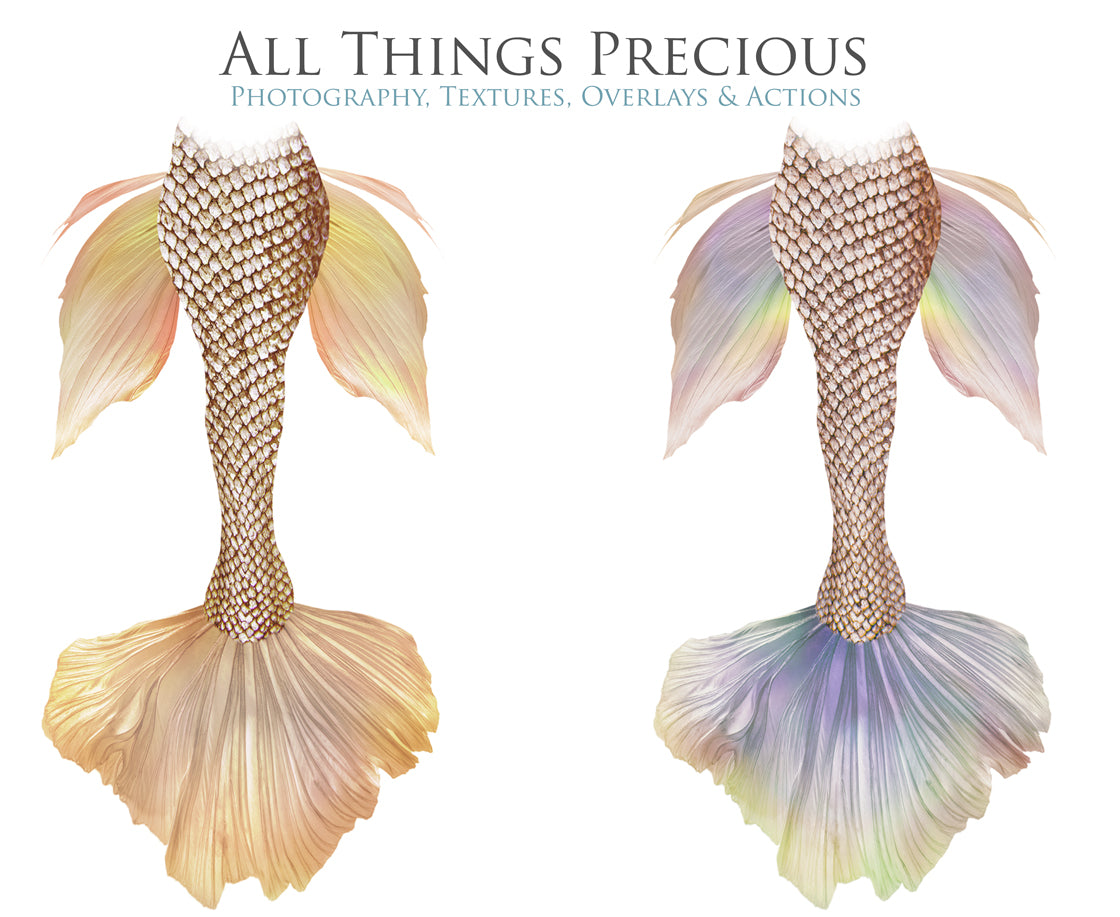 Png transparent Mermaid Tail fin overlays in colourful tints. By ATP Textures Ocean undersea digital backgrounds.
